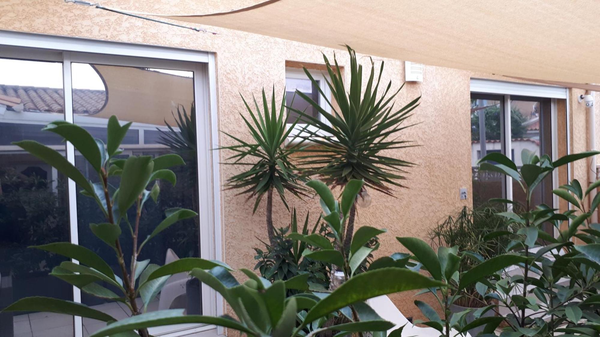 La Casa Tranquilia Chez Vero Et Jj Studio A Marseillan מראה חיצוני תמונה
